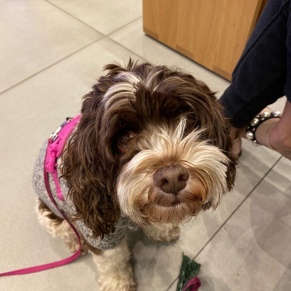 Meet your Posher, Rutna - Picture 3 of 3